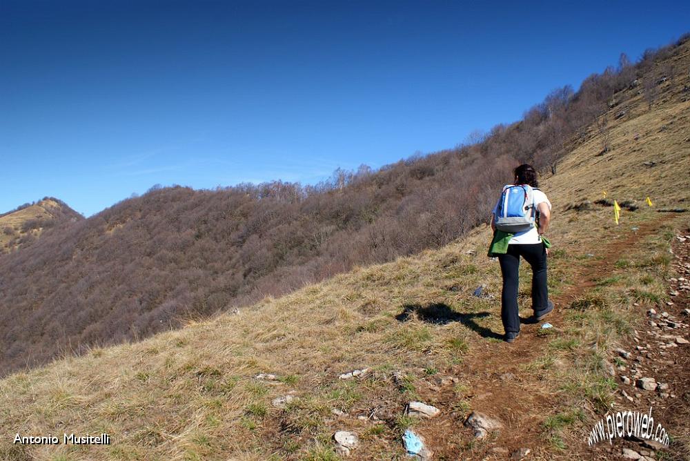 13Tratto del terzo settore.jpg